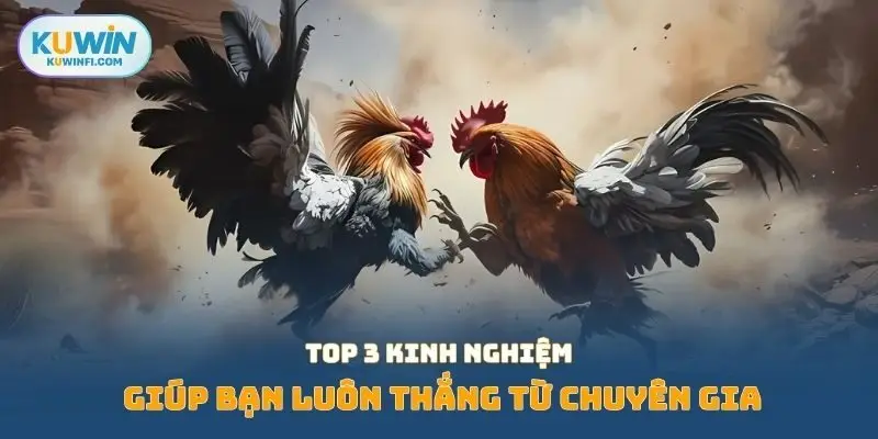 Top 3 kinh nghiệm giúp bạn luôn thắng từ chuyên gia