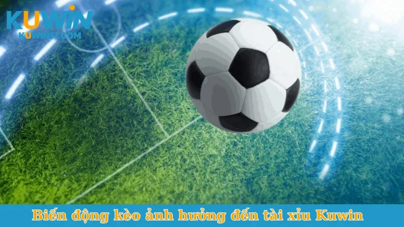 Biến động kèo ảnh hưởng đến tài xỉu Kuwin