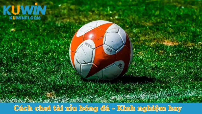 Cách chơi tài xỉu bóng đá
