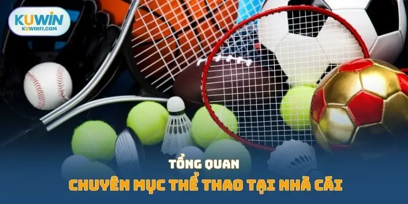 Tổng quan chuyên mục thể thao tại nhà cái